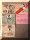 pasolar_macit.jpg (263650 octets)